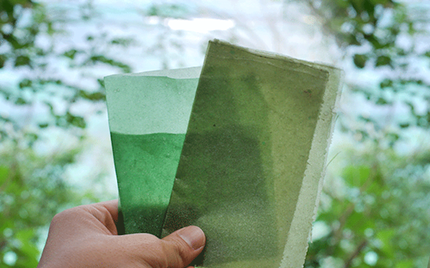 Seaweed Eco Friendly Packaging